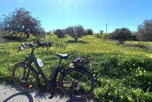City E-Bike Tour - Praias de Albufeira Ocidental em Privado!