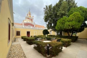 Vivi l'esperienza Corck e visita la città di Tavira