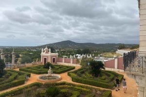 Vivi l'esperienza Corck e visita la città di Tavira