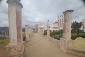 Vivi l'esperienza Corck e visita la città di Tavira