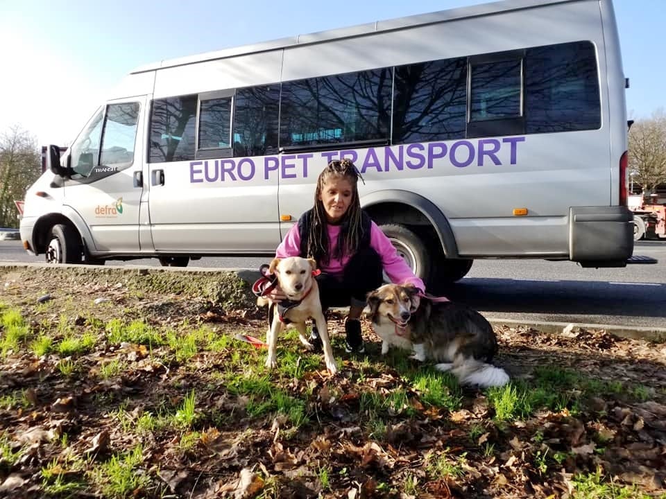 Euro Pet Transport in Algarve