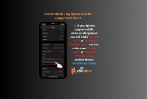 eSIM Europe for Travelers