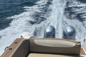 Explore Benagil, Ponta da Piedade and Dolphins in Algarve