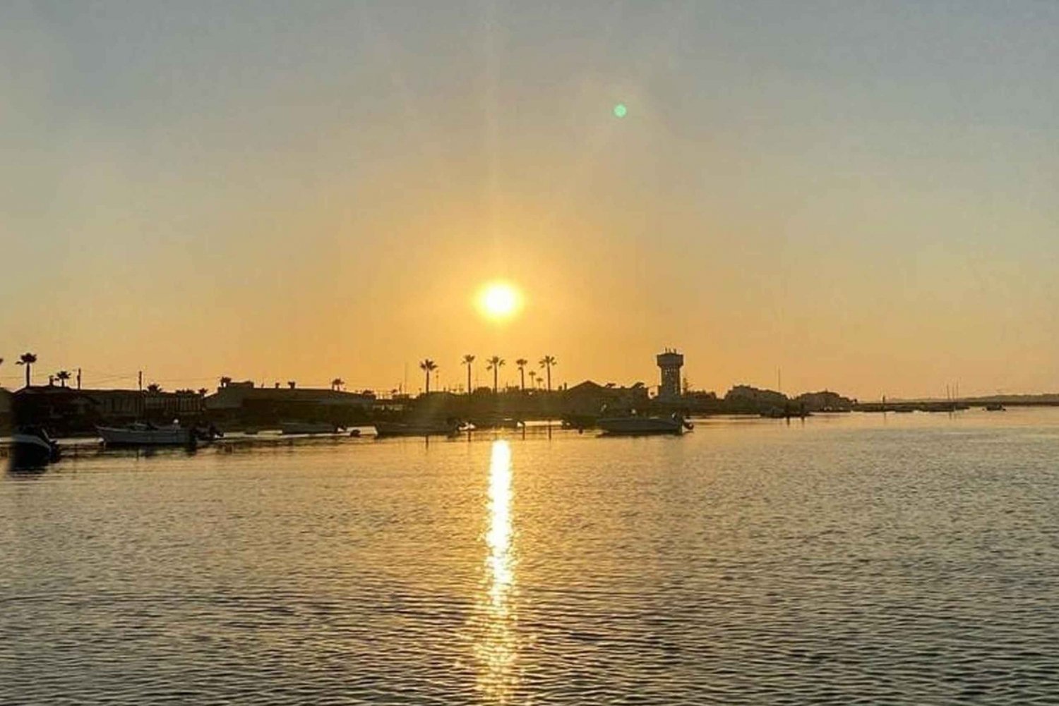 Faro, Ria Formosa: 2 uur durende boottocht bij zonsondergang