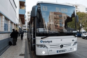 Faro Airport (FAO): Shared One-Way Albufeira Bus Transfer