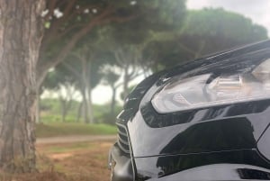 Aeropuerto de Faro: Traslado privado desde/hasta Loulé.