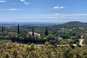 Aeropuerto de Faro: Traslado privado desde/hasta Loulé.