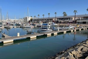 Faro Airport to/from Lagos/Private Transfer max 4 passengers