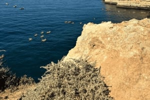 Von Faro aus: Benagil, Algar Seco, Praia Marinha, 7-Täler-Tour