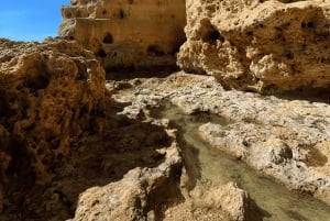 Von Faro aus: Benagil, Algar Seco, Praia Marinha, 7-Täler-Tour