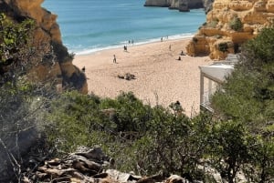 Von Faro aus: Benagil, Algar Seco, Praia Marinha, 7-Täler-Tour