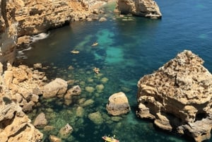 Von Faro aus: Benagil, Algar Seco, Praia Marinha, 7-Täler-Tour
