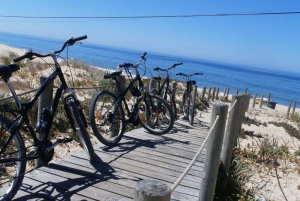 Faro Bike Tour through the Beautiful Ria Formosa
