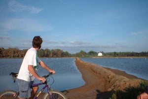 Passeio de bicicleta em Faro pela bela Ria Formosa