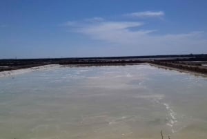 Passeio de bicicleta em Faro pela bela Ria Formosa