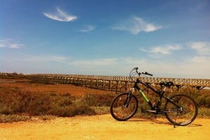Passeio de bicicleta em Faro pela bela Ria Formosa