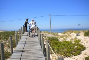 Faro Bike Tour through the Beautiful Ria Formosa