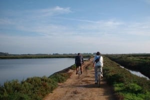 Faro Bike Tour through the Beautiful Ria Formosa