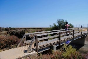 Faro Bike Tour through the Beautiful Ria Formosa