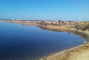 Faro Bike Tour through the Beautiful Ria Formosa