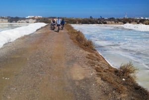 Faro Bike Tour through the Beautiful Ria Formosa