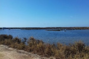 Faro Bike Tour through the Beautiful Ria Formosa