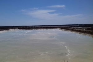 Faro Bike Tour through the Beautiful Ria Formosa