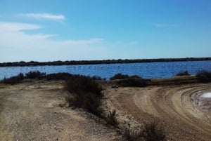Faro Bike Tour through the Beautiful Ria Formosa