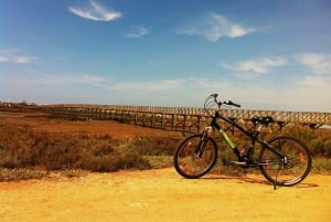 Faro Bike Tour through the Beautiful Ria Formosa