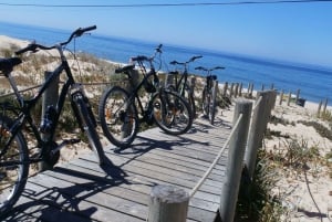 Faro Bike Tour through the Beautiful Ria Formosa