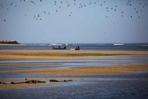 Faro: Boat Tour to Desert Island