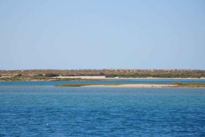 Faro: Boat Tour to Desert Island