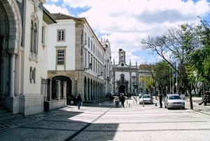 Faro: City Segway Tour with Wine Tasting Experience