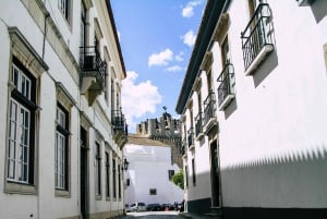 Faro: City Segway Tour with Wine Tasting Experience