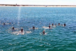 Faro: Come and discover Ria Formosa with us in our Catamaran