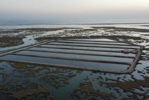 Faro: Come and discover Ria Formosa with us in our Catamaran