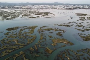 Faro: Come and discover Ria Formosa with us in our Catamaran