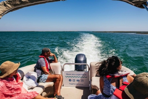 Faro: Deserta Island and Farol Island Catamaran Boat Trip