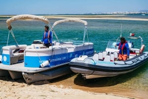 Faro : Excursion en catamaran sur l'île de Deserta et l'île de Farol