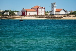 Faro: Desertan saari ja Farolin saaren katamaraaniveneajelu