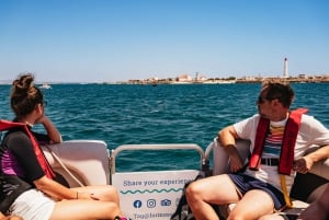Faro: Catamaran boottocht op Deserta-eiland en Farol-eiland