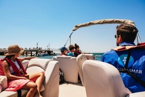 Faro: Katamaran-bådtur til øen Deserta og øen Farol