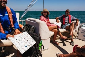Faro: Katamaran-bådtur til øen Deserta og øen Farol