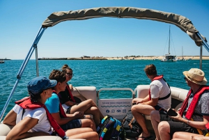 Faro : Excursion en catamaran sur l'île de Deserta et l'île de Farol