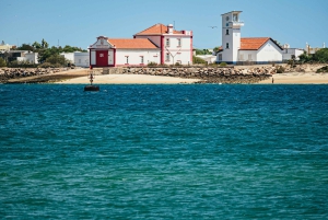 Faro : Excursion en catamaran sur l'île de Deserta et l'île de Farol