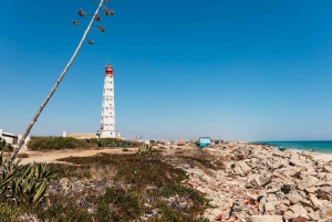 Faro : Excursion en catamaran sur l'île de Deserta et l'île de Farol