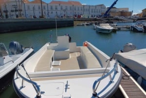 Faro: Dolphin and Marine Life Watching Boat Tour