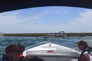 Faro: Dolphin and Marine Life Watching Boat Tour