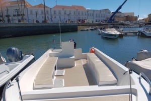 Faro: Dolphin and Marine Life Watching Boat Tour