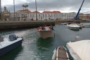 Faro: Dolphin and Marine Life Watching Boat Tour